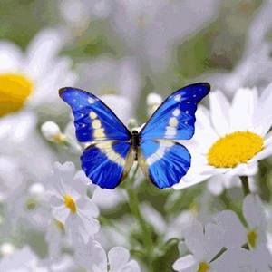 Meet your Posher, Bobbi